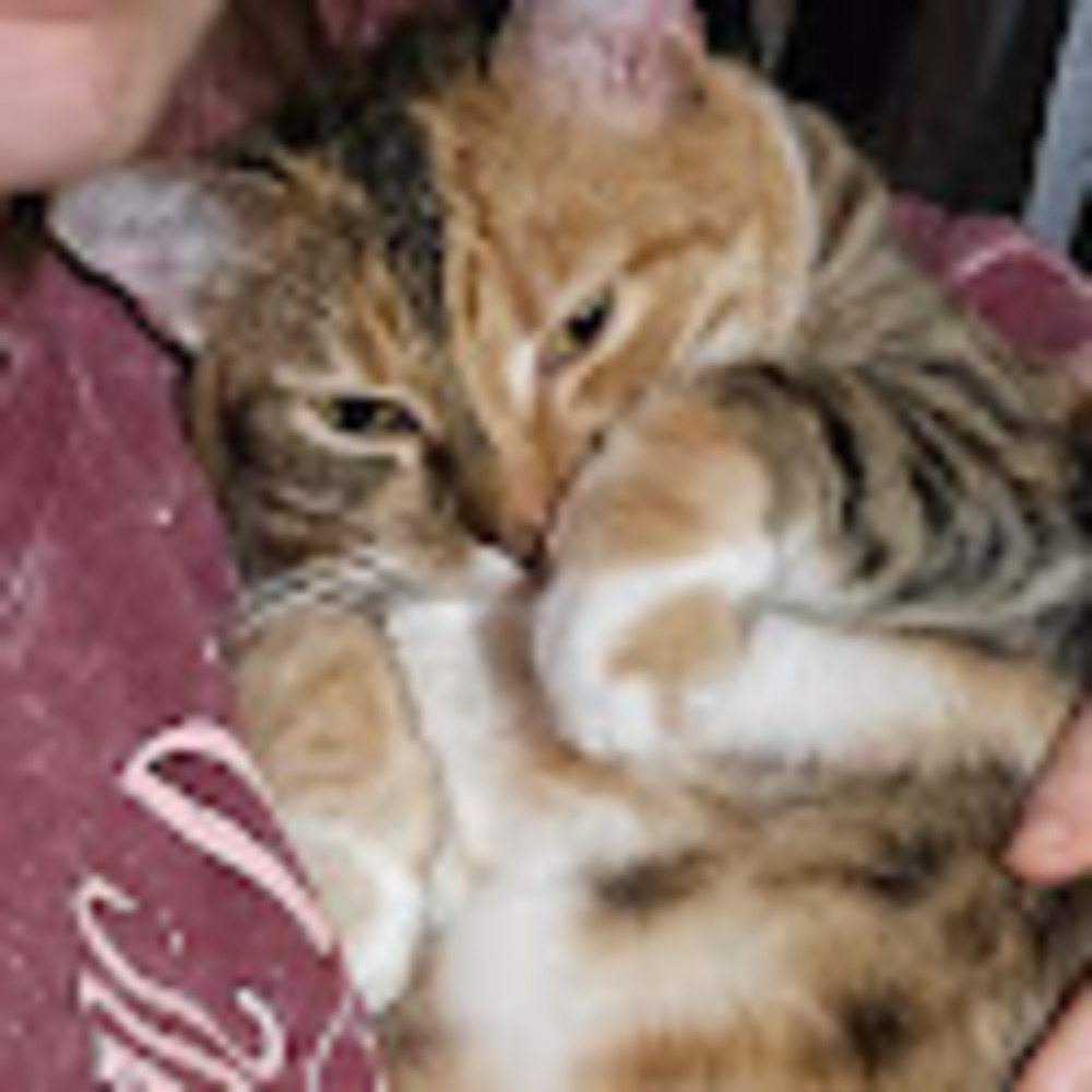 Meet your Posher, Alayna